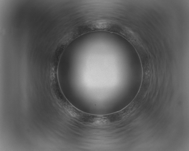 X0000073950555200608281218