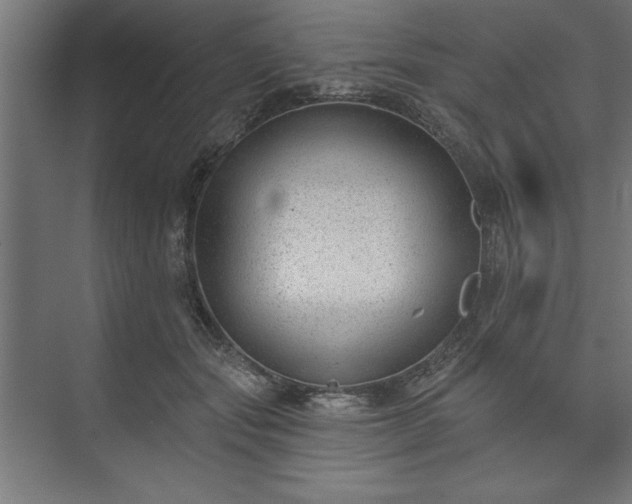 X0000073950557200608281218