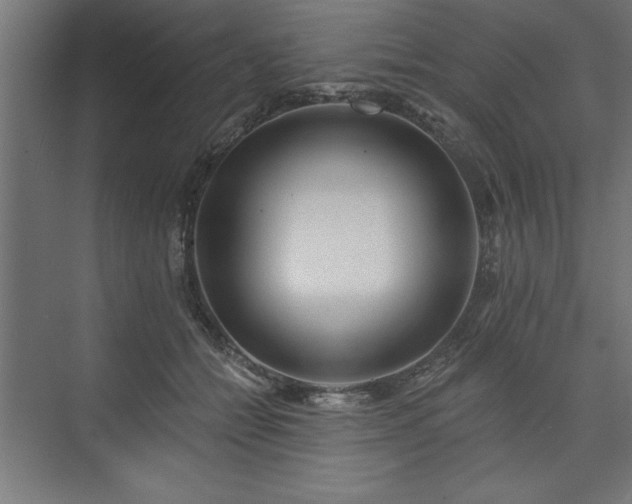 X0000073950558200608281218