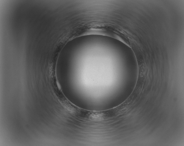 X0000073950560200608281218