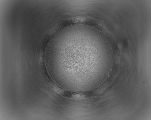 X0000073950561200608281218