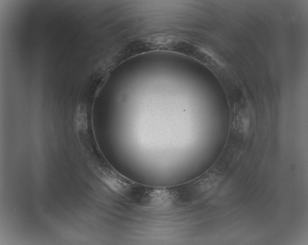 X0000073950562200608281218