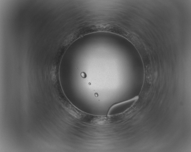 X0000073950563200608281218