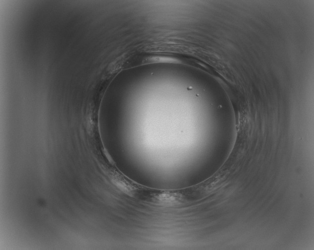 X0000073950566200608281218