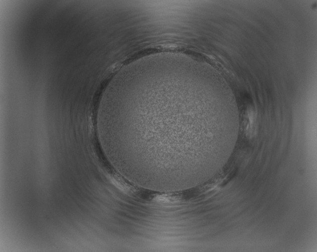 X0000073950568200608281218