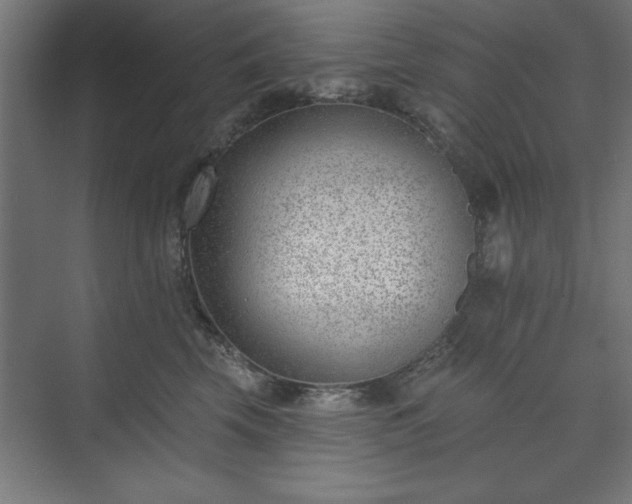 X0000073950569200608281218