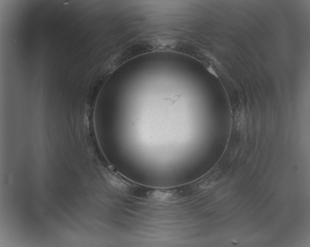 X0000073950570200608281218