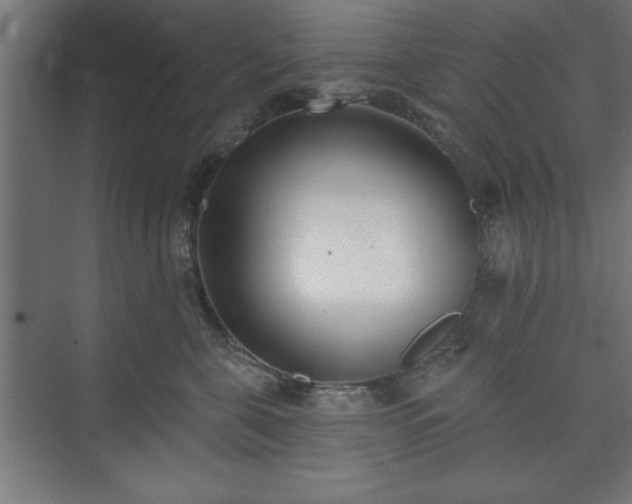 X0000073950571200608281218