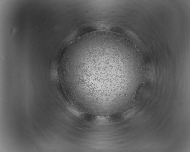 X0000073950573200608281218