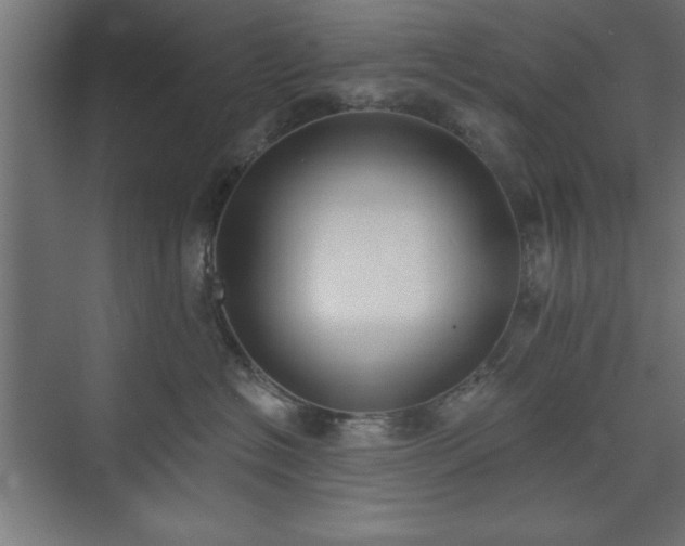 X0000073950574200608281218