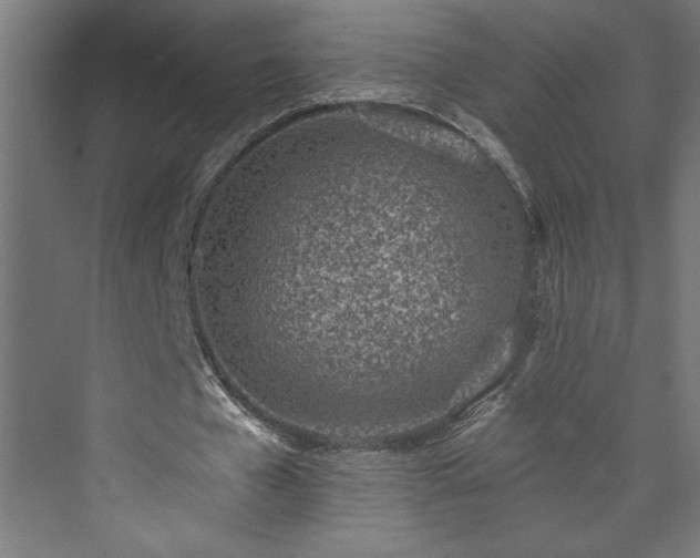 X0000073950577200608281217