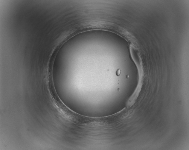 X0000073950578200608281217