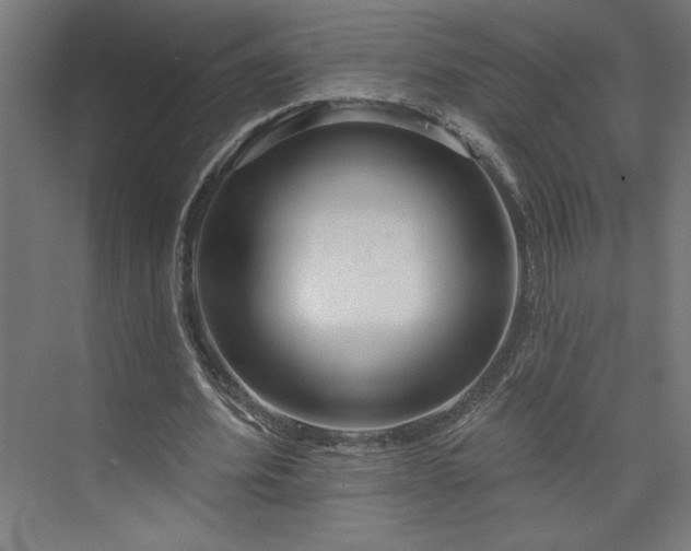 X0000073950580200608281217