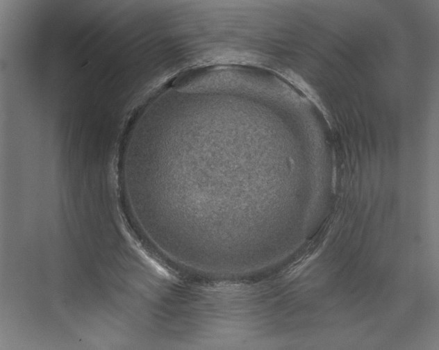 X0000073950581200608281217