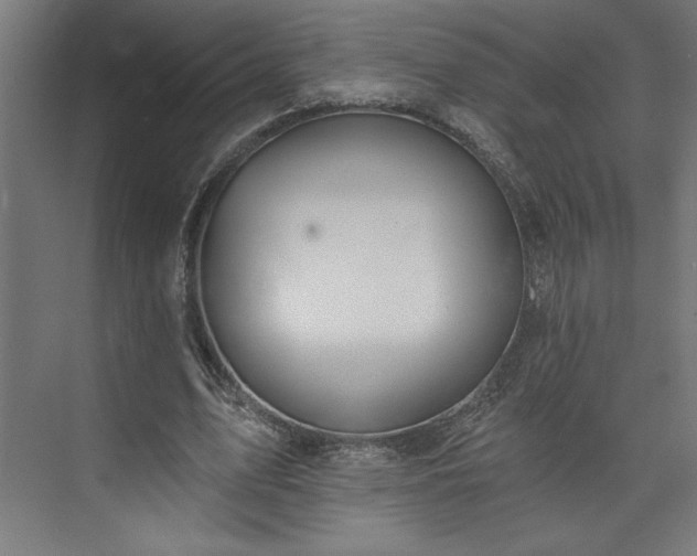 X0000073950583200608281217