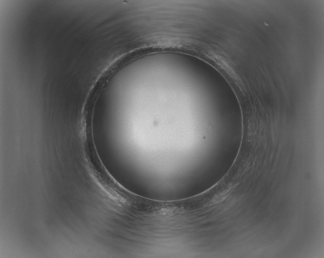 X0000073950584200608281217