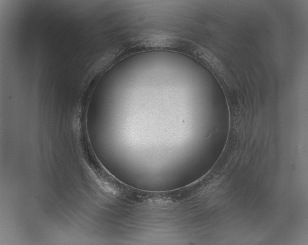 X0000073950586200608281217