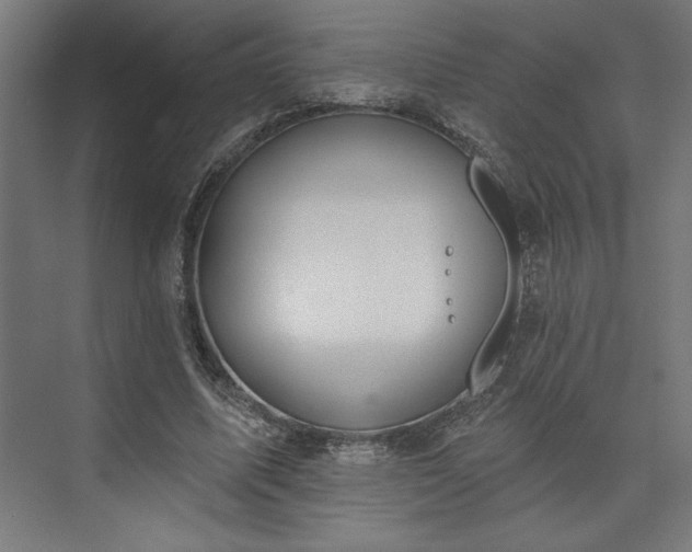 X0000073950587200608281217