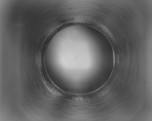 X0000073950588200608281217