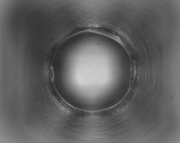 X0000073950593200608281217