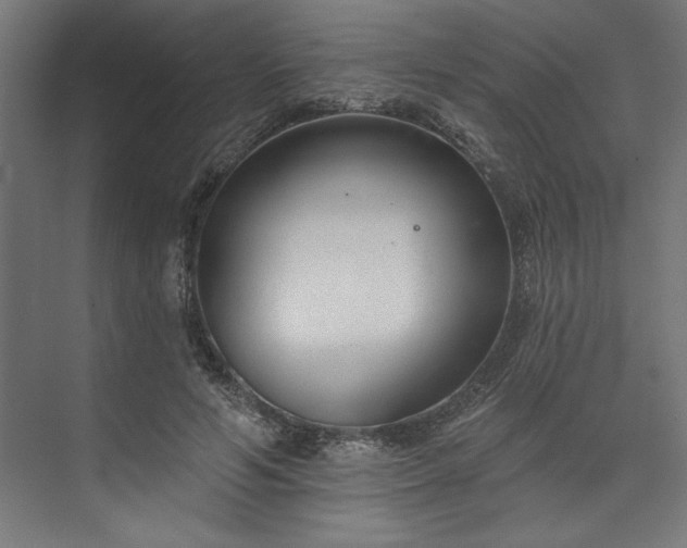 X0000073950594200608281217