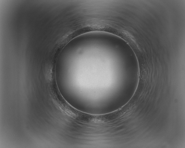 X0000073950596200608281217