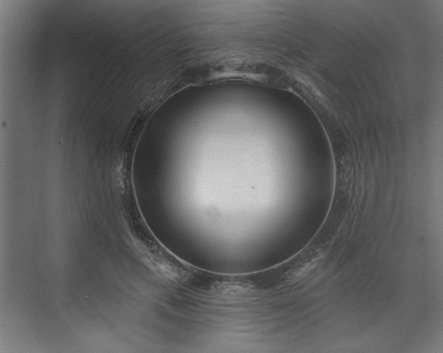 X0000073950597200608281217