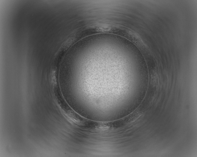 X0000073950598200608281217