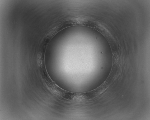 X0000073950599200608281217