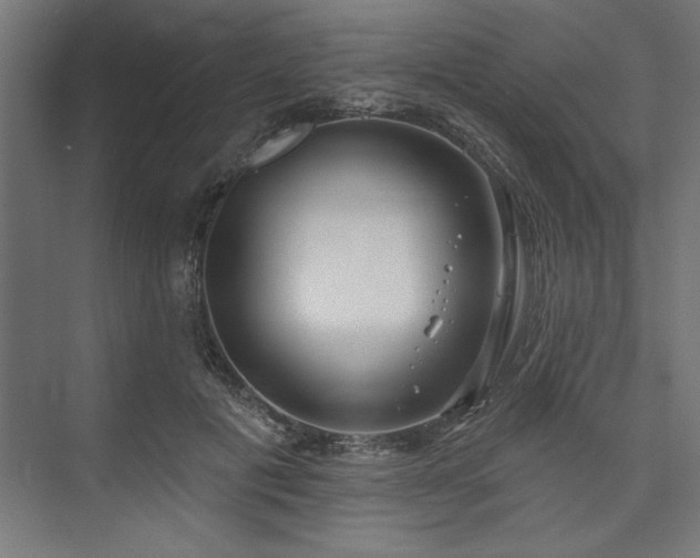 X0000073950601200608281217