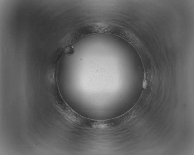 X0000073950602200608281217