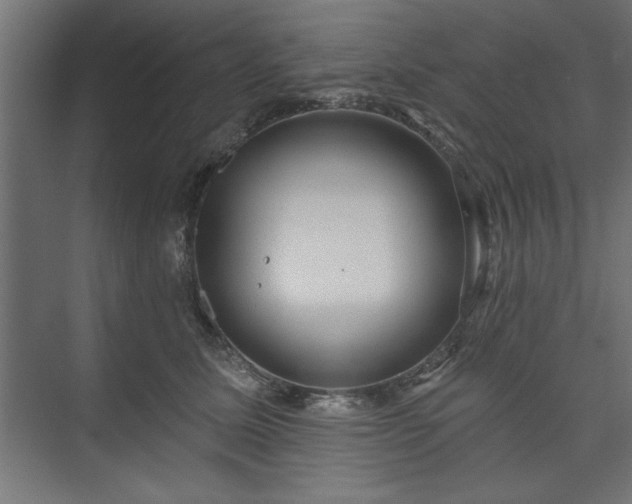 X0000073950611200608281217