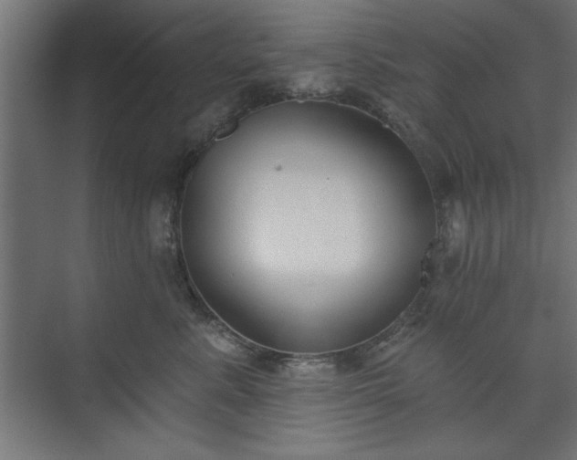 X0000073950619200608281217