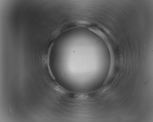 X0000073950621200608281217