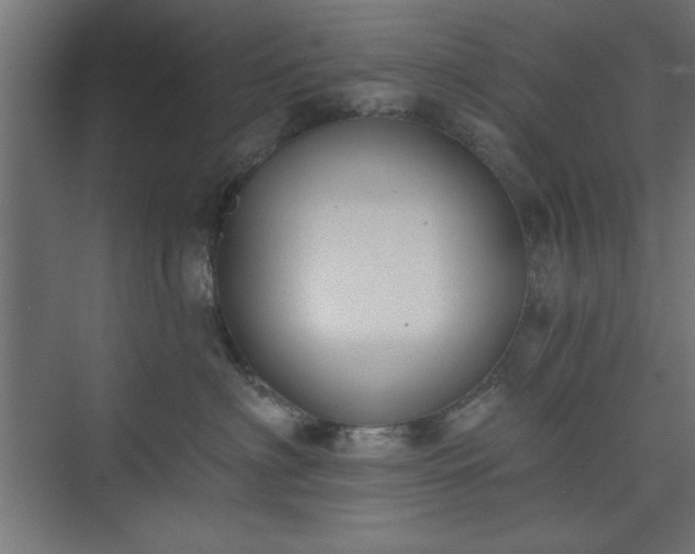 X0000073950622200608281217