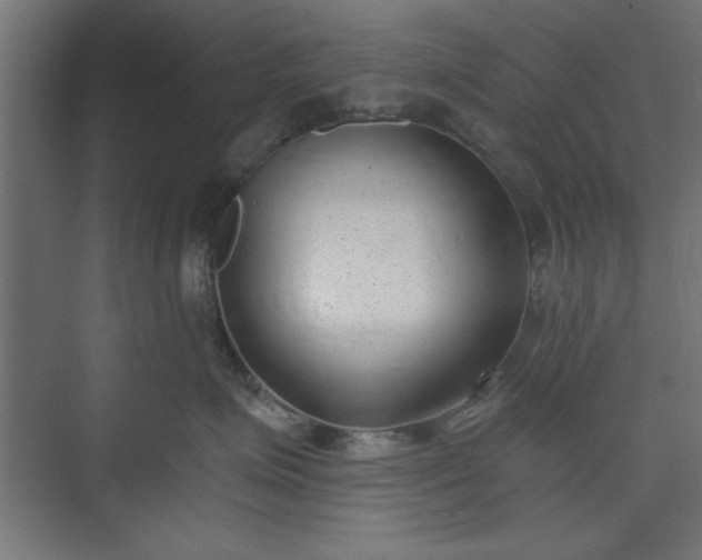 X0000073950623200608281217