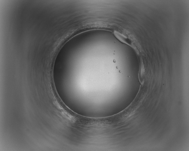 X0000073950625200608281216