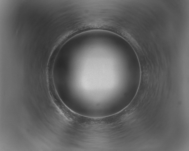 X0000073950626200608281216