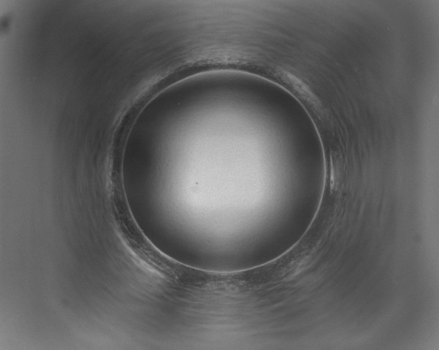 X0000073950627200608281216