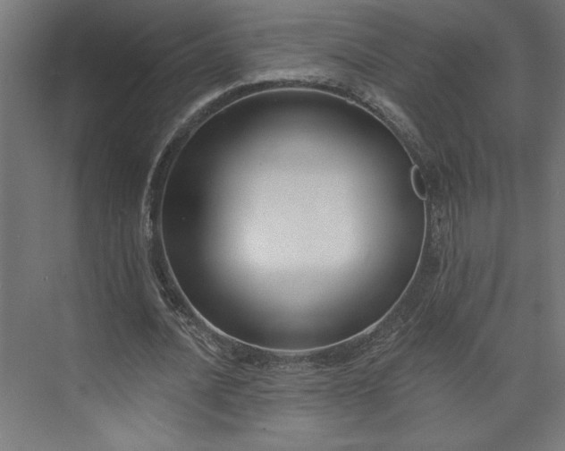 X0000073950628200608281216