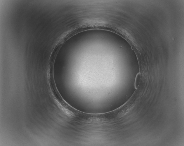 X0000073950629200608281216