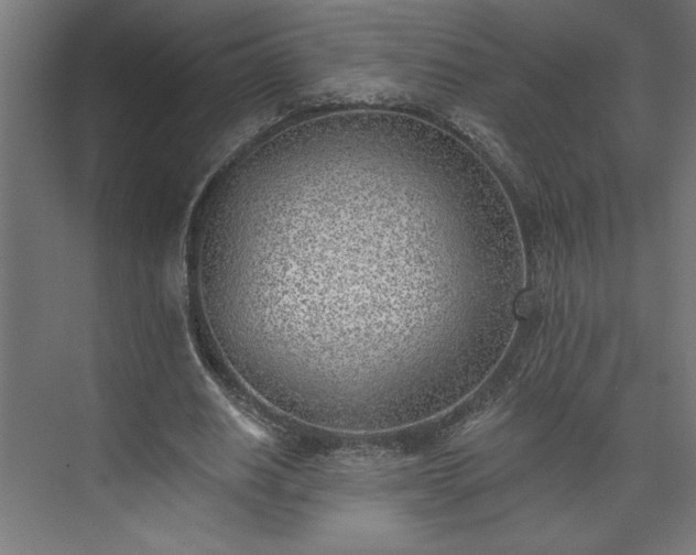 X0000073950630200608281216