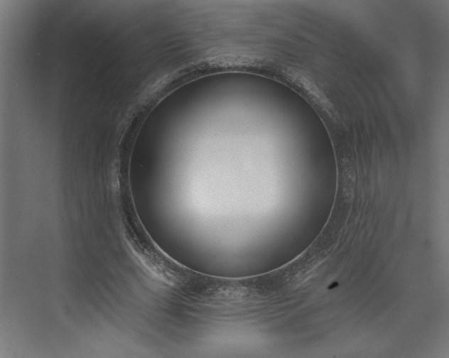 X0000073950631200608281216