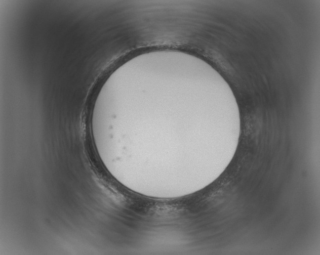 X0000073950632200608281216