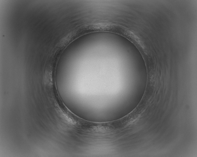 X0000073950633200608281216