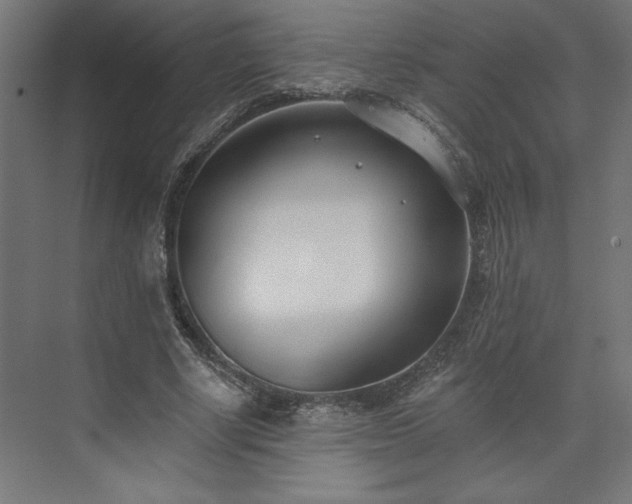 X0000073950634200608281216