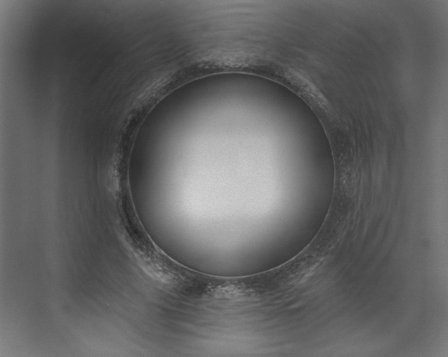 X0000073950635200608281216