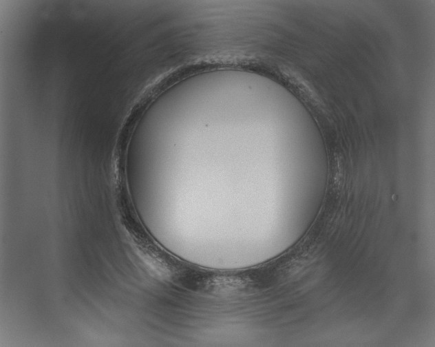 X0000073950636200608281216