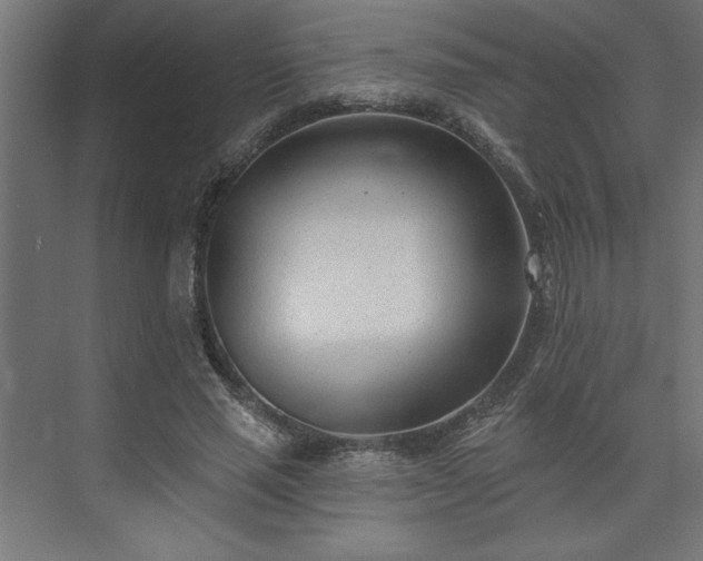 X0000073950637200608281216