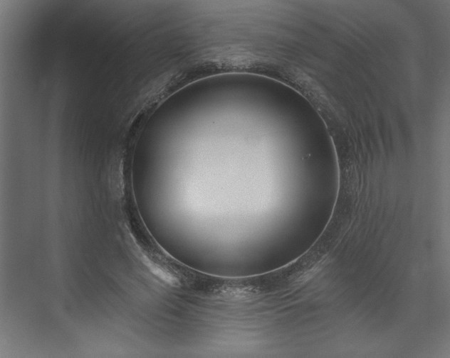 X0000073950638200608281216